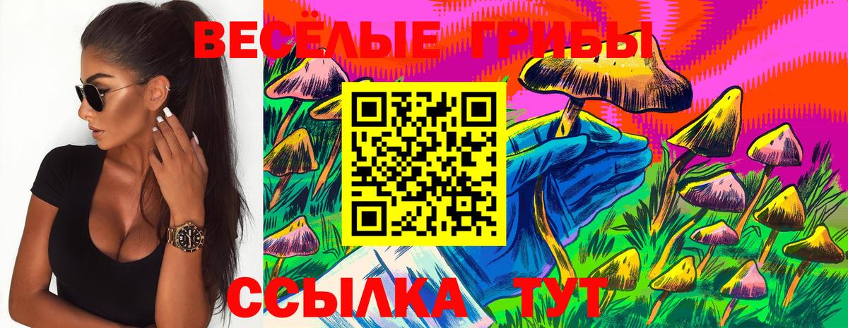 Псилоцибиновые грибы Psilocybe  Вход с VPN  Галлюциногенные грибы Psilocybine cubensis  Саров 